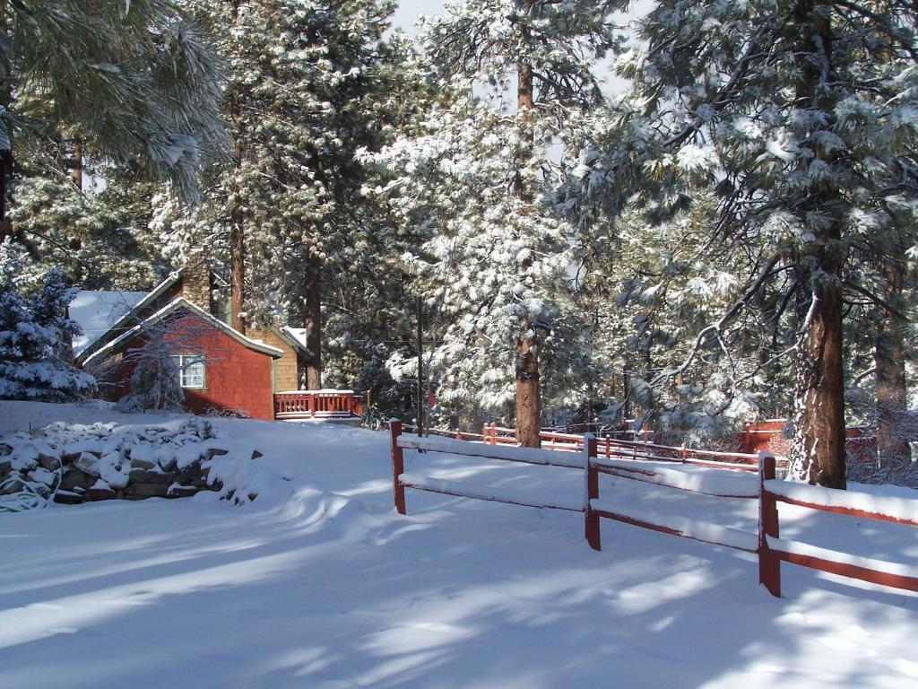 Golden Bear Cottages Big Bear Lake Exterior photo